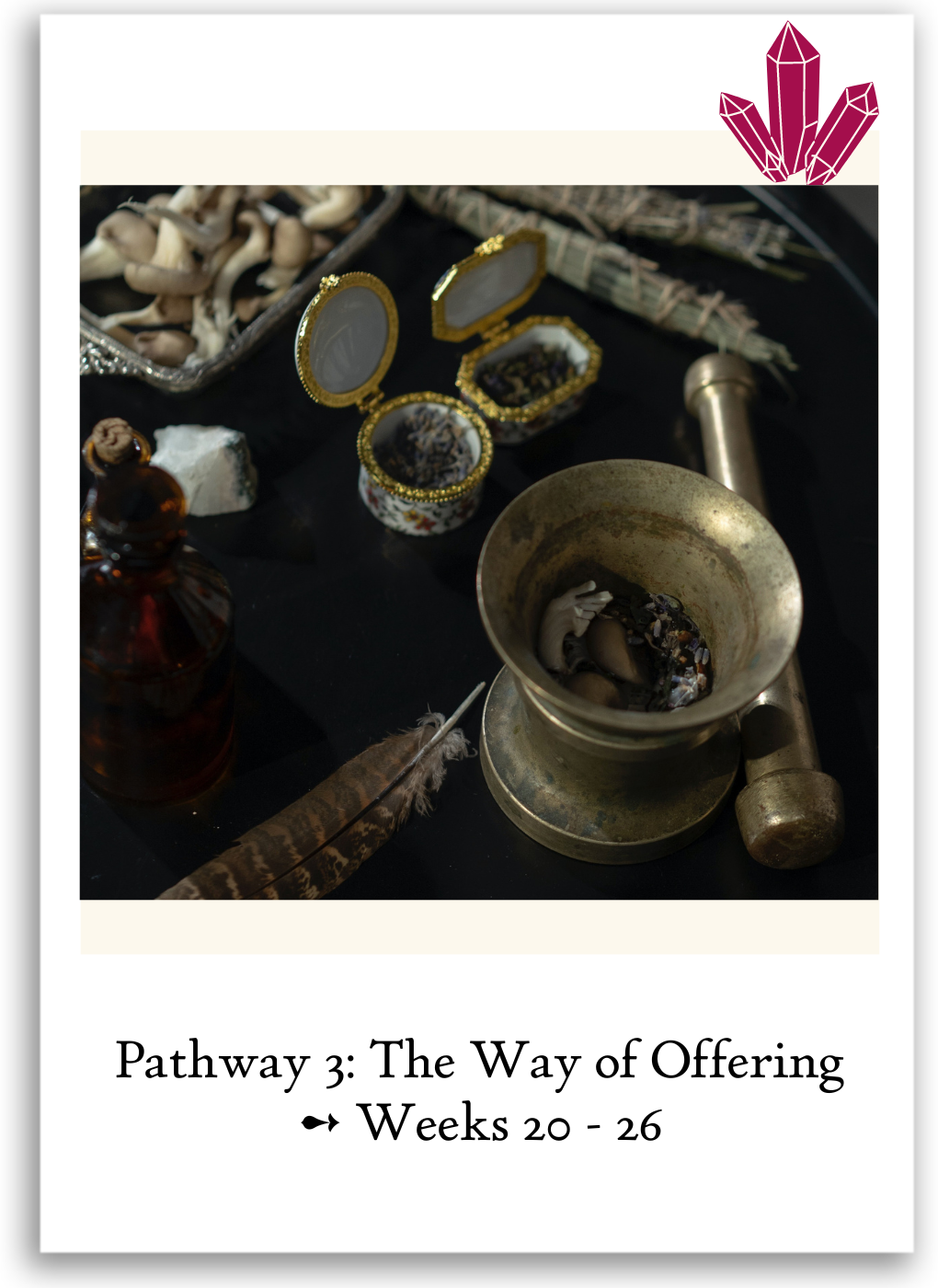 Pathway 3_ The Way of Offering