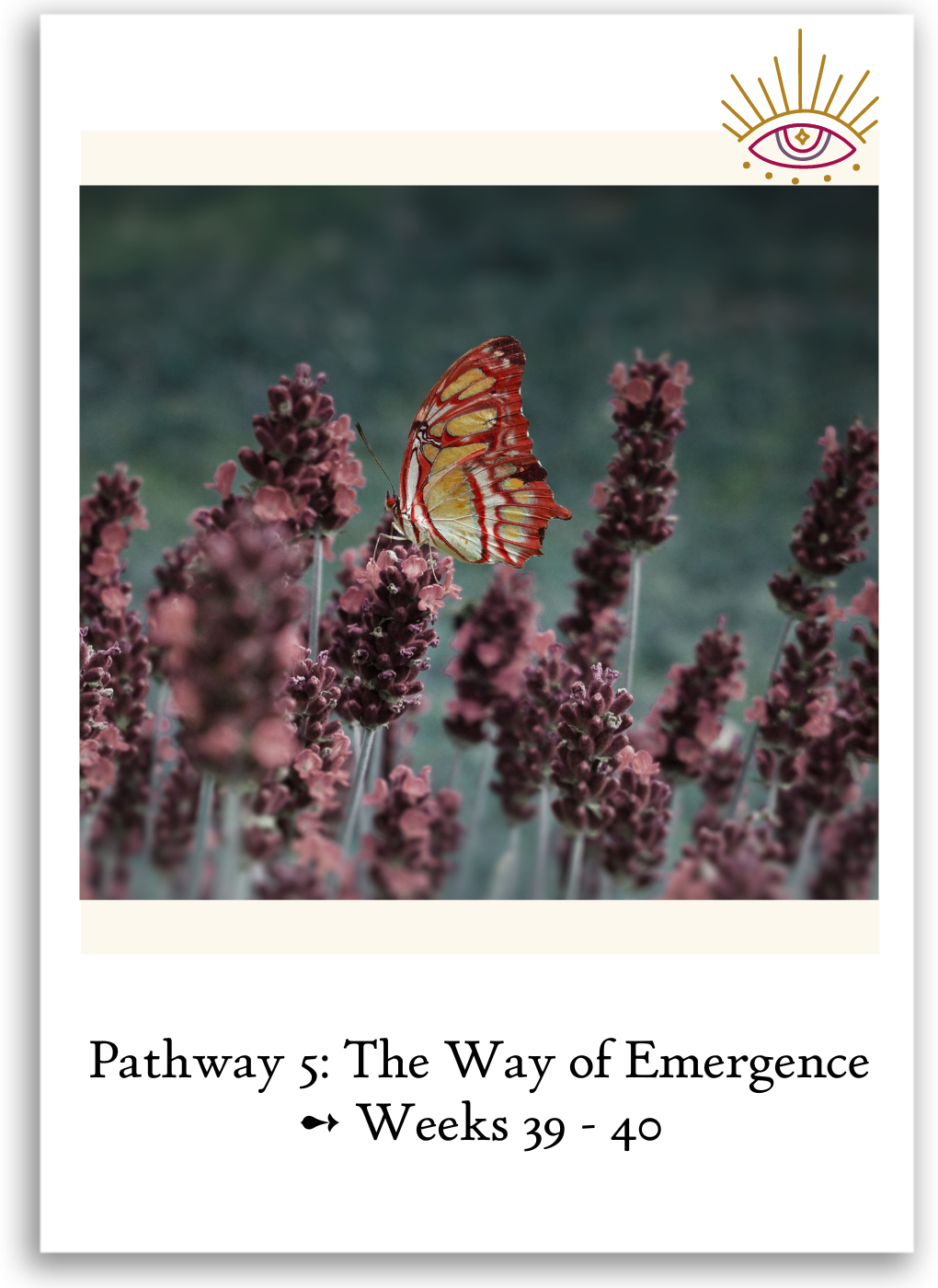 Pathway 5_ The Way of Emergence